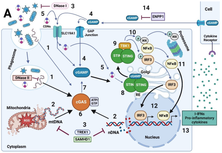 Figure 6