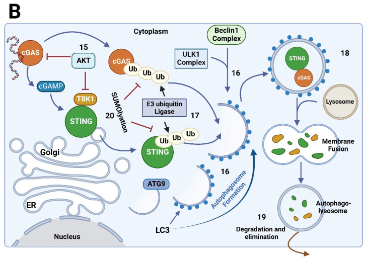 Figure 6