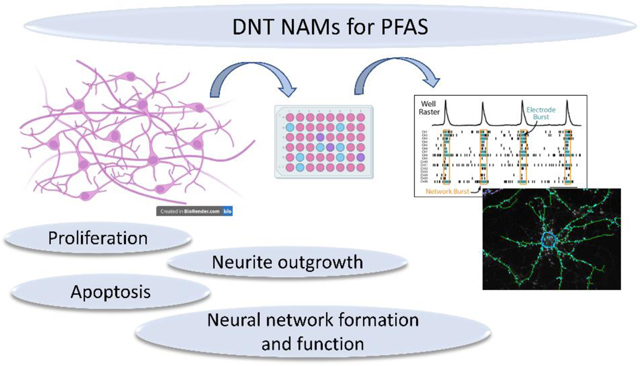 graphic file with name nihms-1886796-f0006.jpg