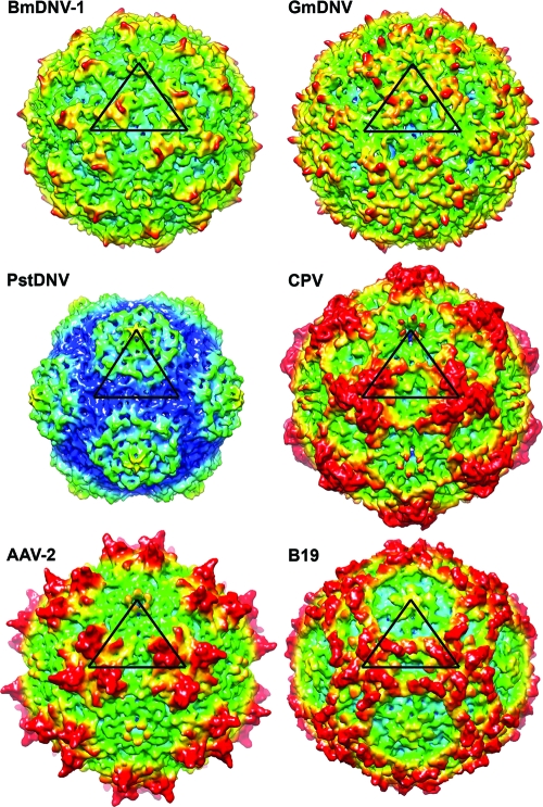 Fig. 4.