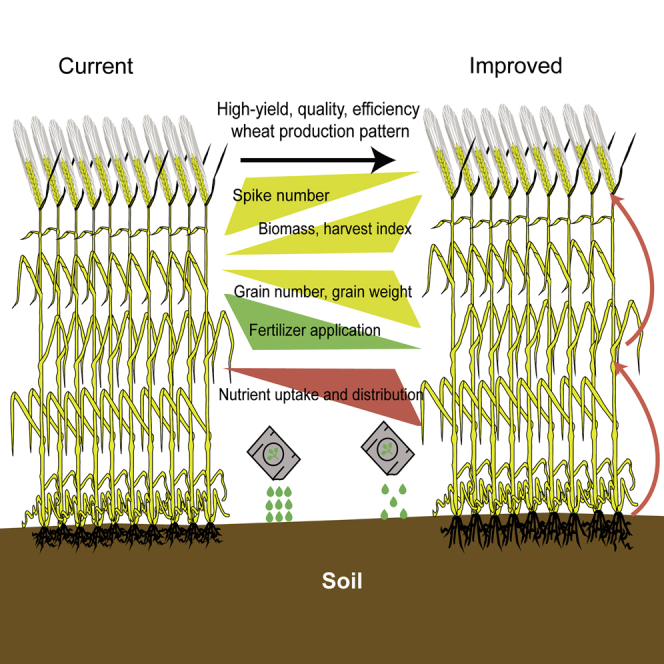 graphic file with name fx1.jpg