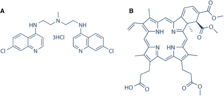 Fig. 5