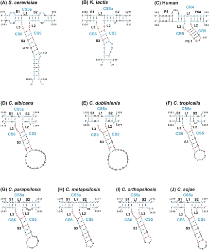 FIGURE 7.