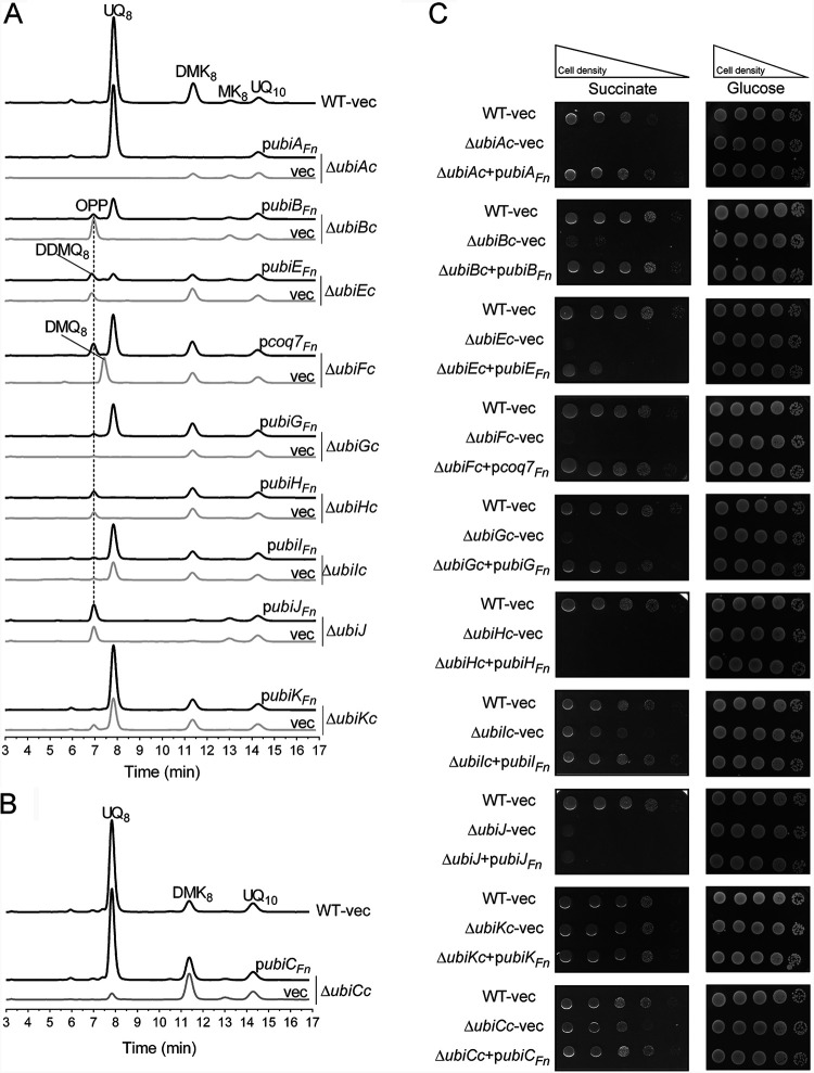 FIG 3