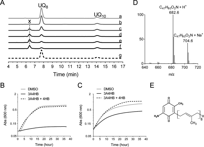 FIG 6