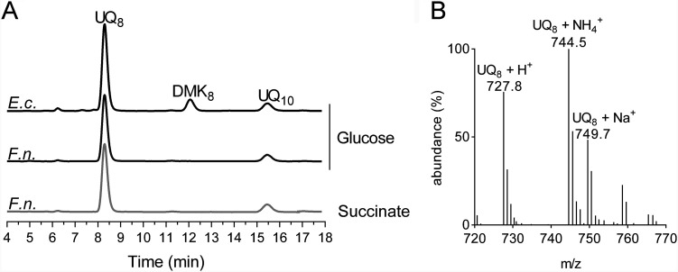 FIG 1