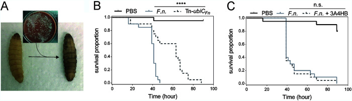 FIG 7