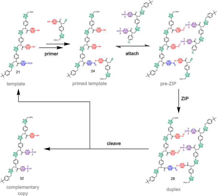 Figure 12