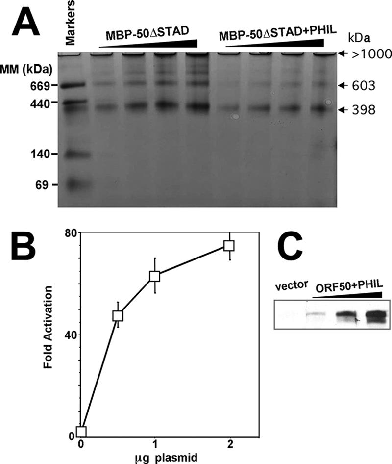 FIG. 10.