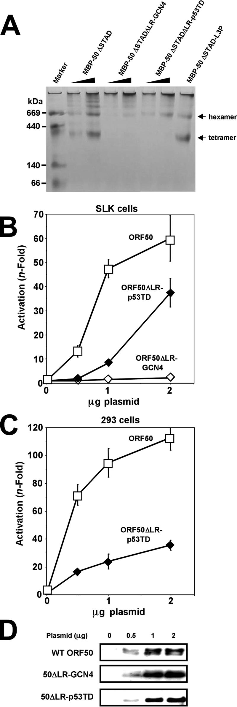 FIG. 14.