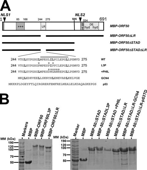 FIG. 7.