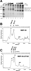 FIG. 8.