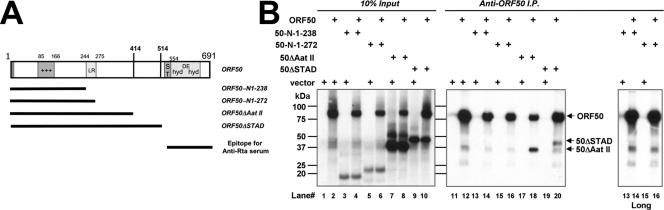 FIG. 6.