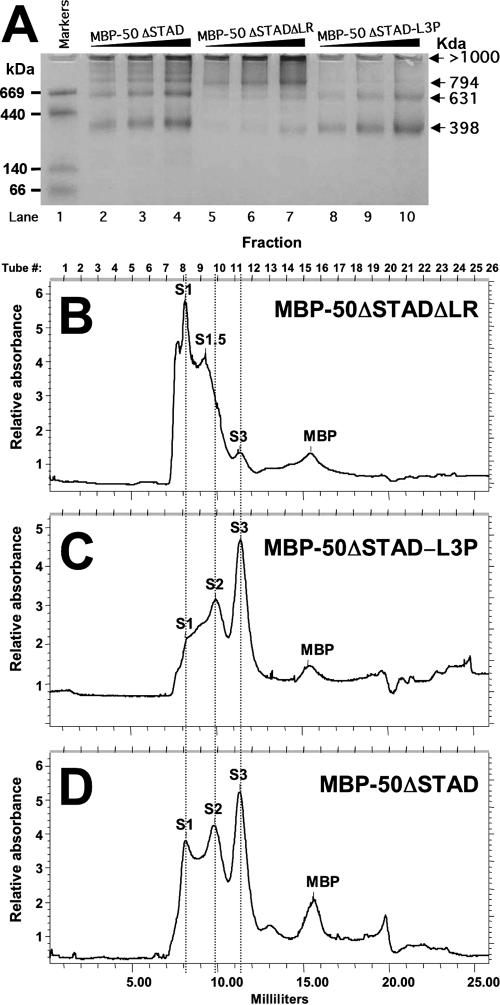 FIG. 13.