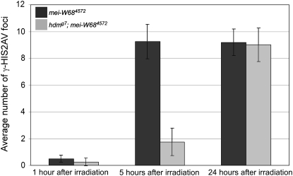 Figure 4.—