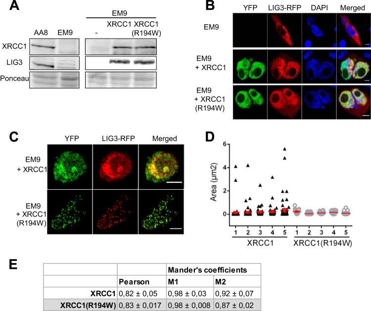 FIG 6