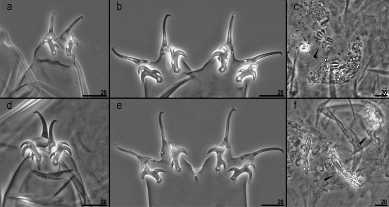 Fig. 3.