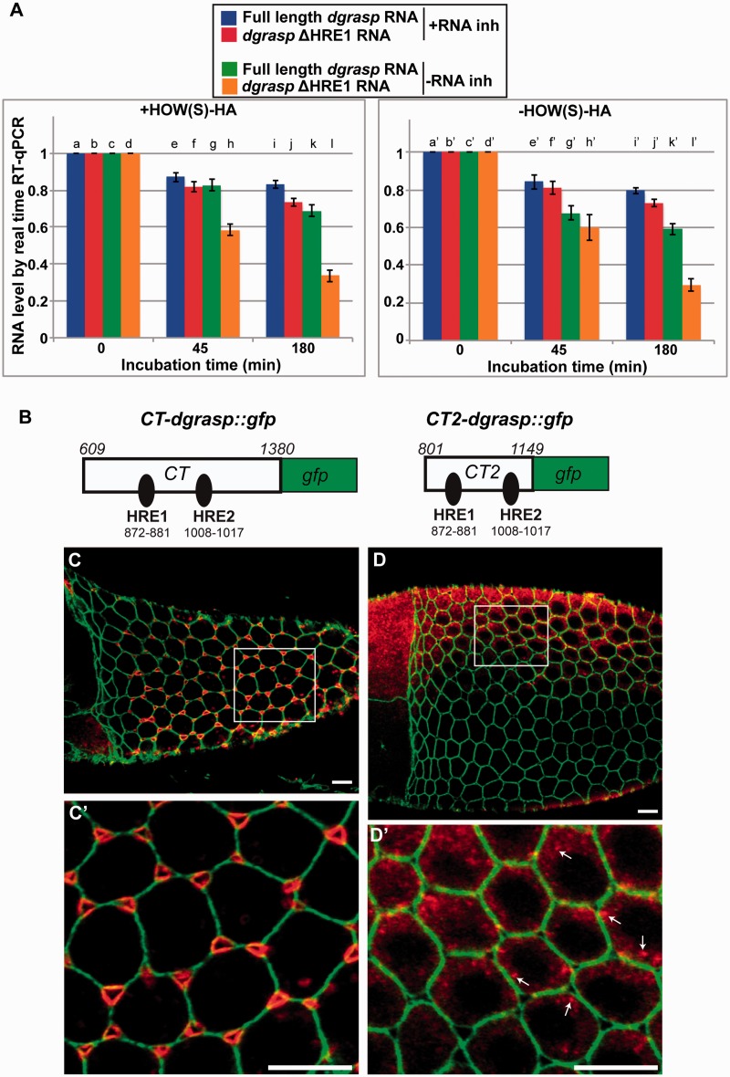 Figure 6.