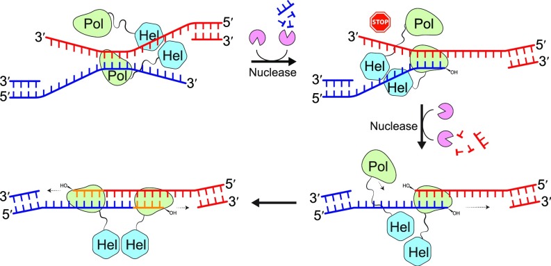 Fig. 6.