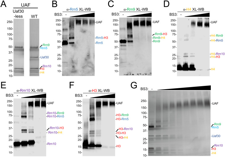 FIG 2