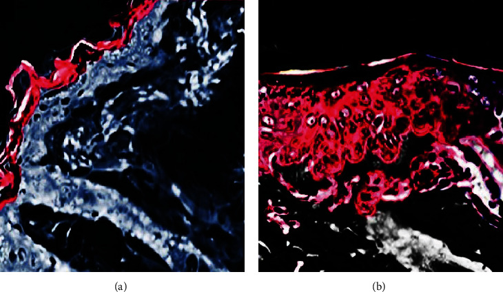 Figure 9