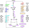 FIG. 6.