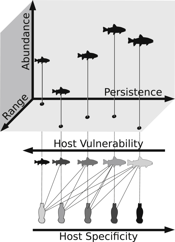 Fig. 4