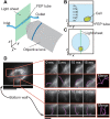 Fig. 2.