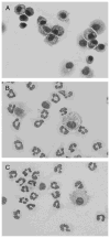 Fig. 6