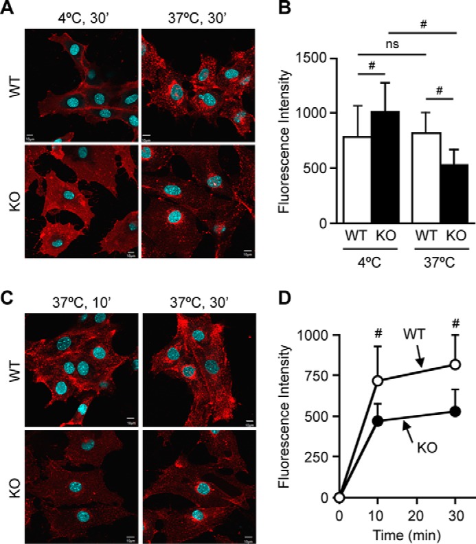 FIGURE 10.