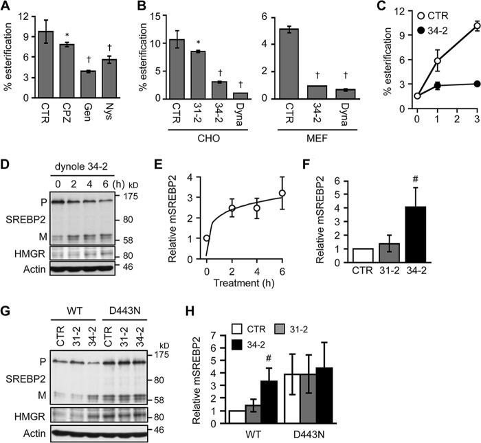 FIGURE 11.