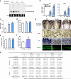 Extended Data Figure 4