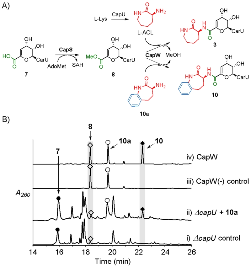 Fig. 2