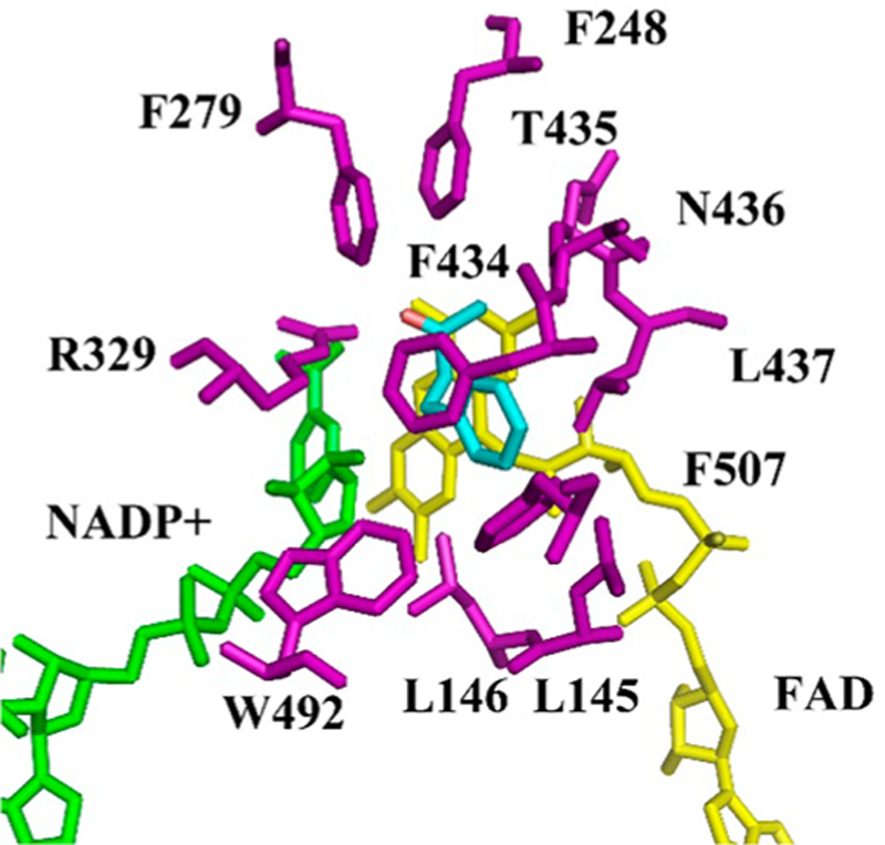 Figure 1.