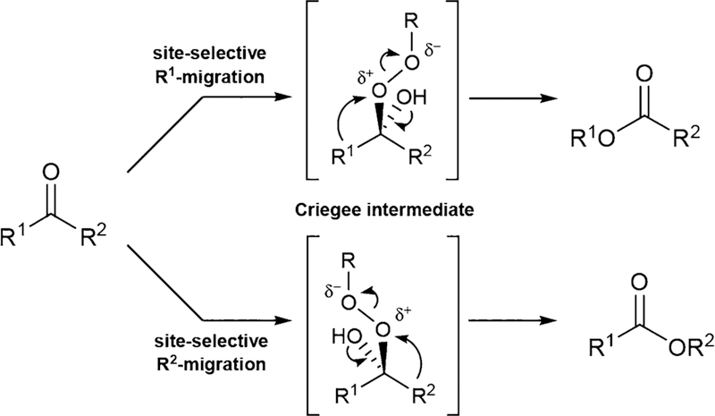 Scheme 1.