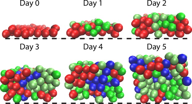 Fig 3