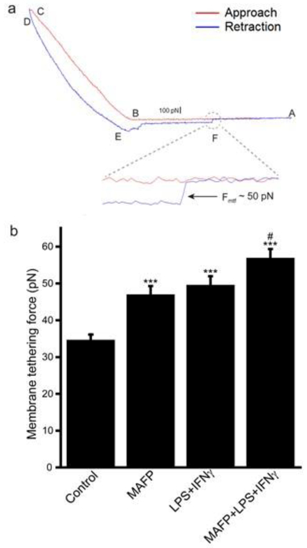 Fig. 7