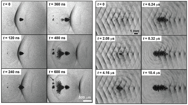 Fig. 7: