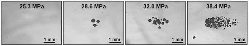 Fig. 6: