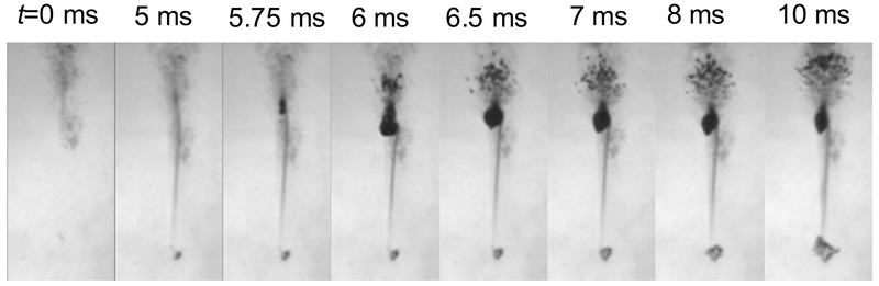 Fig. 9: