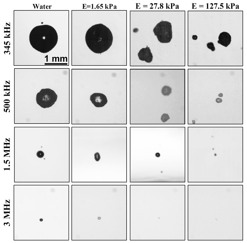 Fig. 10: