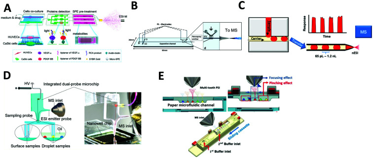 graphic file with name d1cb00112d-ga.jpg