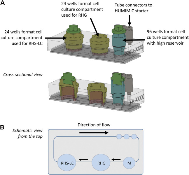 FIGURE 1