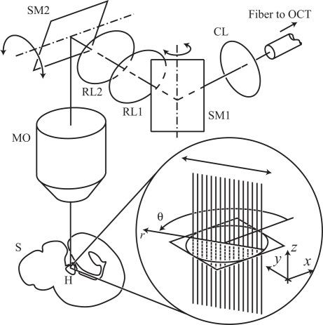 Fig. 2