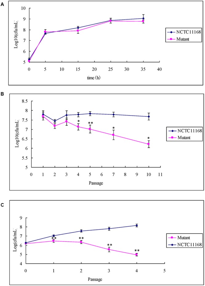 FIGURE 3