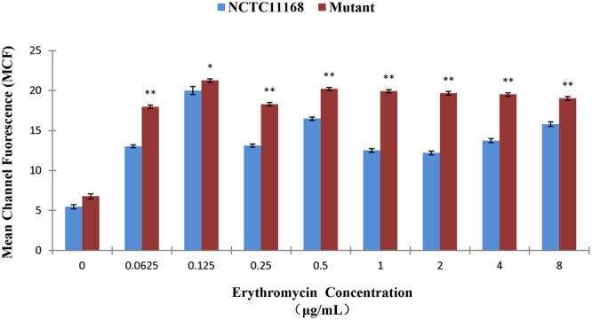 FIGURE 2