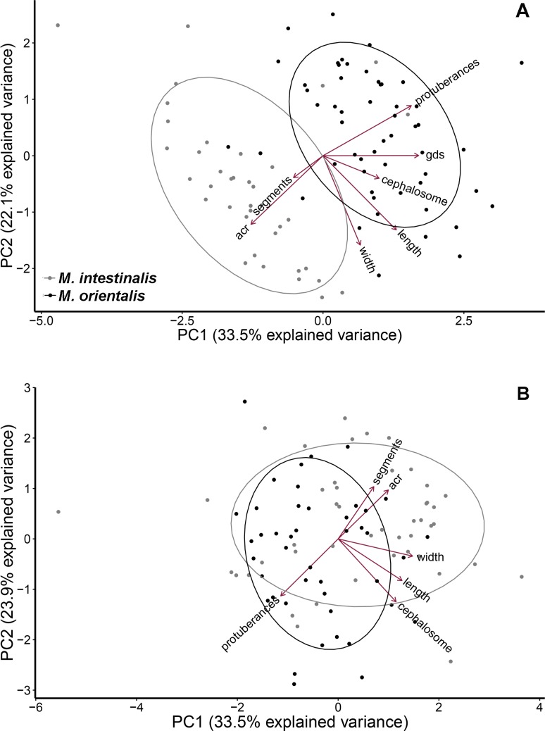 Fig 6