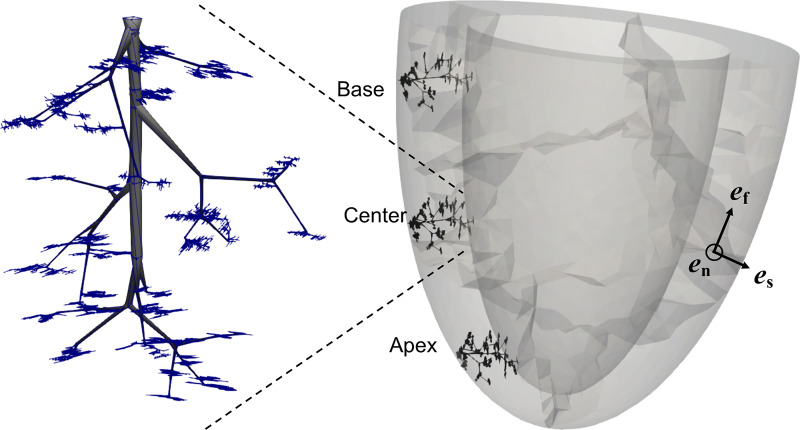 Fig. 2.