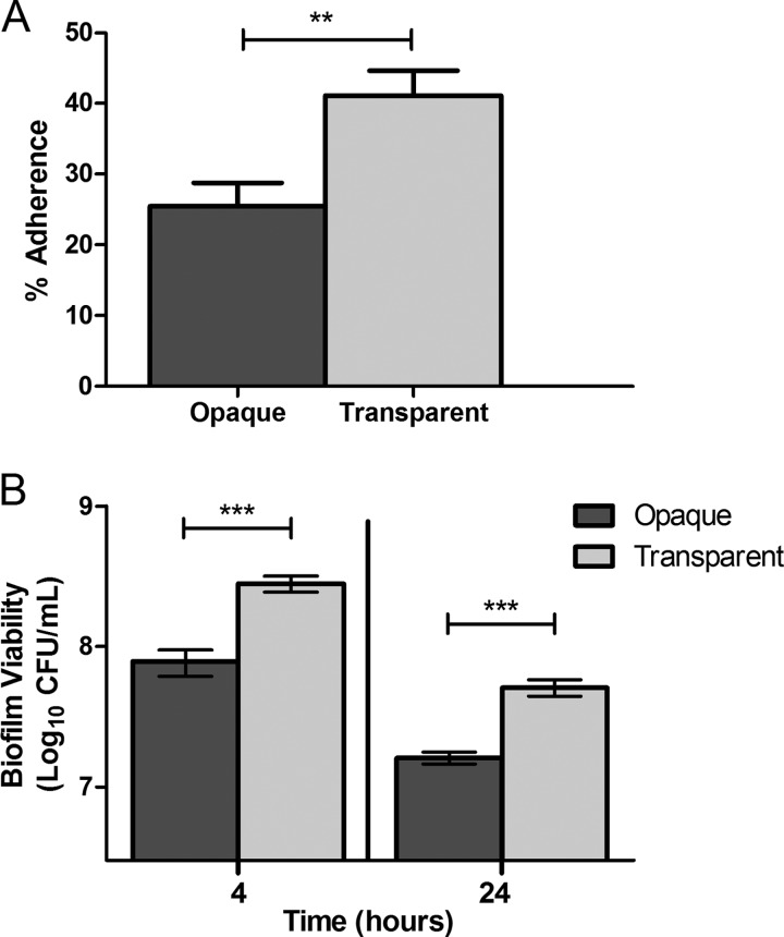 FIG 4