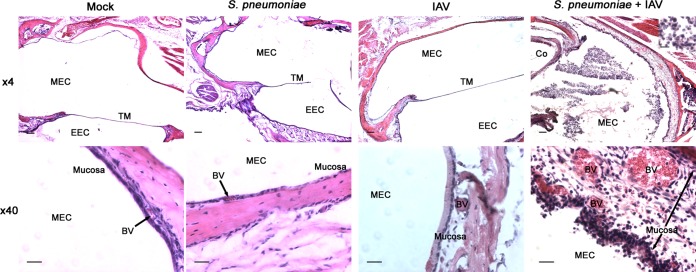 FIG 3